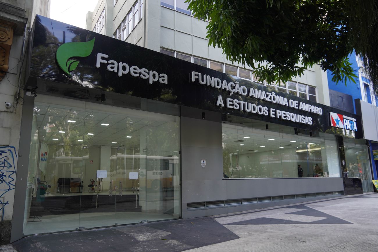 Equipe da FAPESPA responsável pela elaboração do Anuário Estatístico 2024